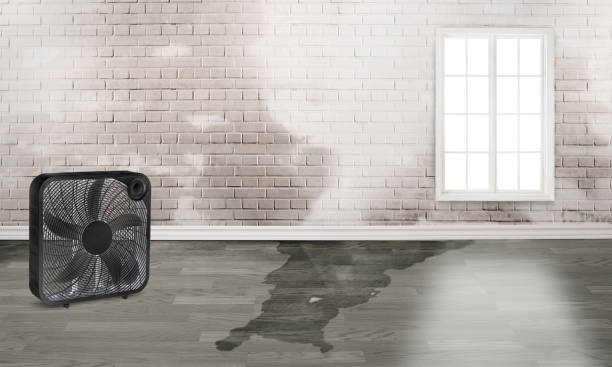 Best Local water damage restoration  in Rockville, MD