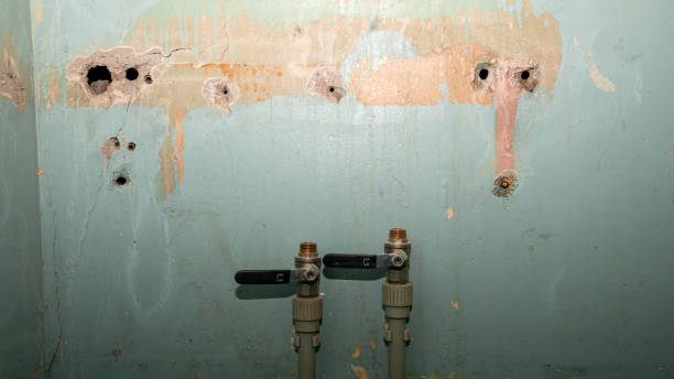 Best Water damage restoration near me  in Rockville, MD