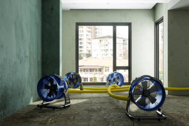 Best Sewage cleanup and water damage restoration  in Rockville, MD